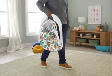 Fisher-Price Portable Baby Chair with Toys