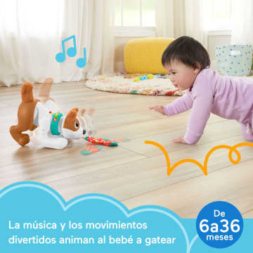 Perrito 1 2 3 Gatea Conmigo Defisher-Price, Juguete Infantil, Edición Española