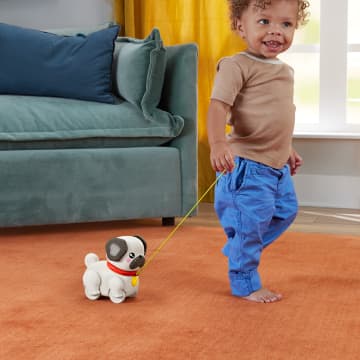 Sesli Ve Hareketli Fisher-Price Fp Pets Yürüyüş Arkadaşı Köpekçik Çekçekli Bebek Oyuncağı - Imagen 4 de 6