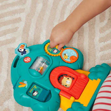 Fisher-Price Hayvan Dostlar Keşif Serisi Bebek Aktivite Oyuncakları Koleksiyonu, Stiller Çeşitlilik Gösterebilir - Imagen 3 de 5