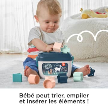Fisher-Price – Mon Trieur De Formes