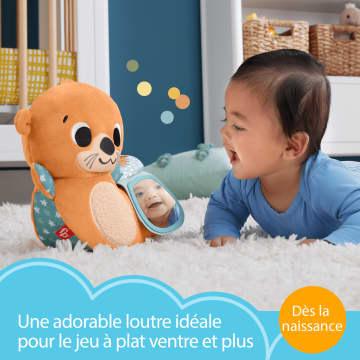 Fisher-Price-Loutre 2 En 1-Peluche Pour Jeu À Plat Ventre - Imagen 2 de 6