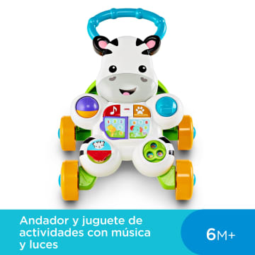 Cebra Parlanchina Primeros Pasos