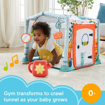 Fisher-Price 3-in-1 Crawl & Play Activity Gym