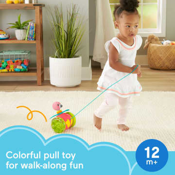 Fisher-Price Paradise Pals Pull-Along Flamingo