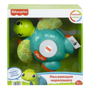 Ползающая Черепашка Линкималс