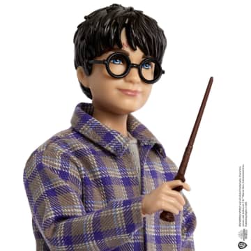 Harry Potter Speelgoed, Harry en Ron in de Zweinsteinexpres Poppen met accessoires