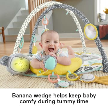 Fisher-Price Snugamonkey Go Bananas Gym