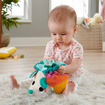 Игрушка Fisher-Price Ежик плюшевый тактильный