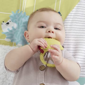 Fisher-Price® Perfect Sense Delüks Jimnastik Merkezi