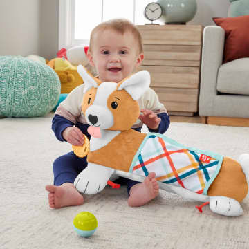 Fisher-Price 3-In-1 Puppy Buikligtrainer