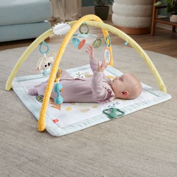 Fisher-Price Simply Senses Gym Voor Baby'S Activiteitenmat Met 6 Zintuiglijke Speeltjes