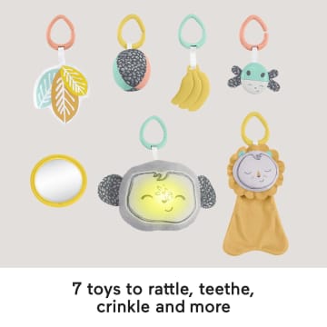 Fisher-Price Snugamonkey Go Bananas Gym