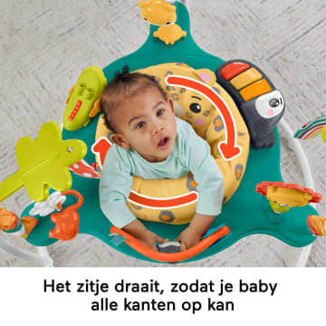 Fisher-Price Springend Luipaard Jumperoo