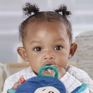 Fisher-Price Activity Monkey & Ball
