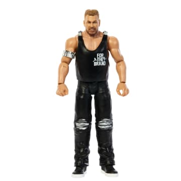 WWE Basic Action Figure Assortment