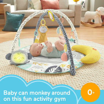 Fisher-Price Snugamonkey Go Bananas Gym