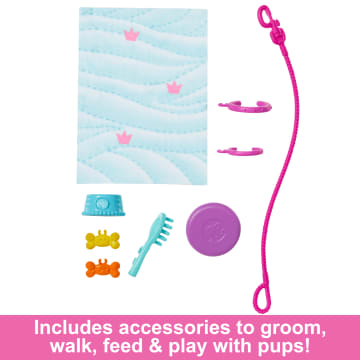 Barbie Doll With A Toy Pup And Dog In A Wheelchair, Plus Pet Accessories