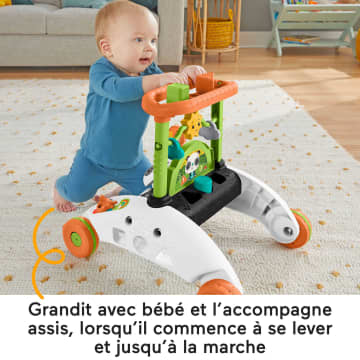 Fisher-Price – Mon Trotteur Panda D’Activités Évolutif