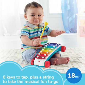 Fisher-Price Pull-Along Basics Gift Set