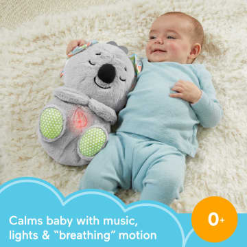 Fisher-Price Soothe 'n Snuggle Koala