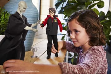 Harry Potter Игровой Набор С Куклами Гарри Поттер И Лорд Волан Де Морт