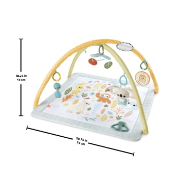 Fisher-Price Simply Senses Gym Voor Baby'S Activiteitenmat Met 6 Zintuiglijke Speeltjes
