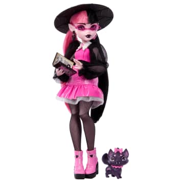 Monster High Draculaura Fashion Doll With Pet Count Fabulous And Accessories