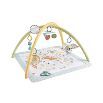Fisher-Price Simply Senses Gym Voor Baby'S Activiteitenmat Met 6 Zintuiglijke Speeltjes