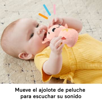 Fisher-Price Sensimals Set De Regalo