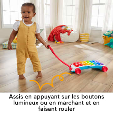 Fisher-Price - Xylophone Géant, Version Française Jouet D'Éveil - 12 Mois Et +