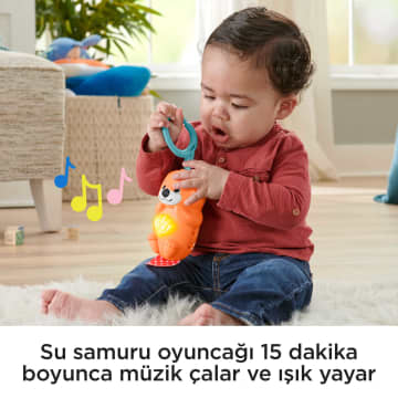 Fisher-Price® Neşeli Hayvanlar 3'ü 1 Arada Jimnastik Merkezi