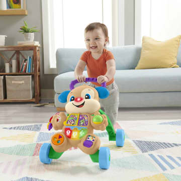 Fisher-Price® Eğlen & Öğren Yaşa Göre Gelişim Eğitici Köpekçik Yürüteç (Türkçe ve İngilizce)