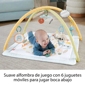 Fisher-Price Sensimals Gimnasio Animales