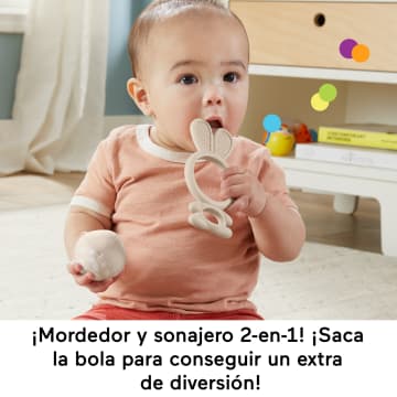 Fisher-Price Sensimals Set De Regalo