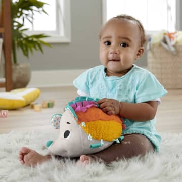 Игрушка Fisher-Price Ежик плюшевый тактильный