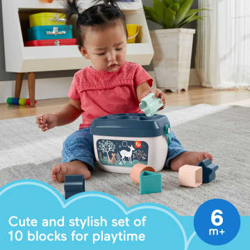Fisher-Price Baby's First Blocks