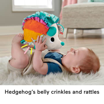 Fisher-Price Cuddle N' Snuggle Hedgehog - Image 5 of 6