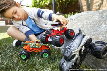 Машинка Hot Wheels Монстр-трак большой в ассортименте