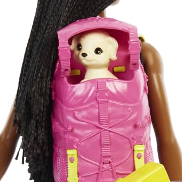 Набор игровой Barbie Бруклин Кемпинг (кукла с питомцем и аксессуарами)