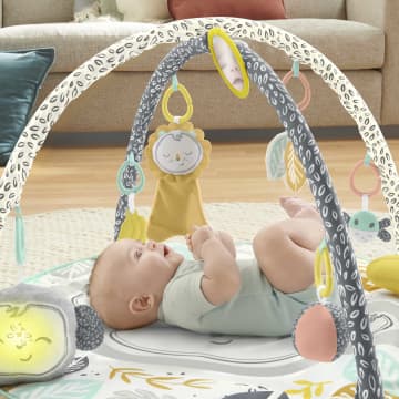 Fisher-Price Deluxe Γυμναστήριο Δραστηριοτήτων Snugamonkey