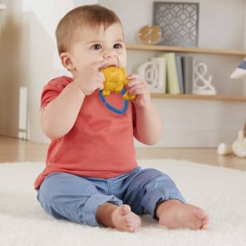 Fisher-Price® Sevimli Hayvancıklar Dişlikler