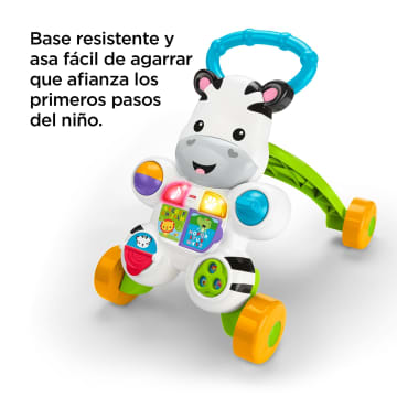 Cebra Parlanchina Primeros Pasos