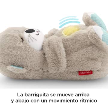 Nutria Soothe 'N Snuggle De Fisher-Price