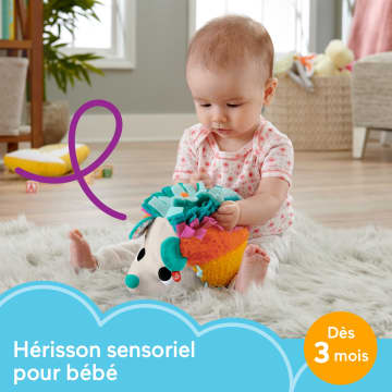 Fisher-Price - Mon Petit Hérisson Sensoriel - Jouet D'Éveil - Dès La Naissance