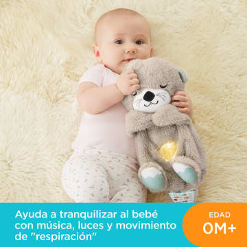 Nutria Soothe 'N Snuggle De Fisher-Price