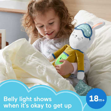 Fisher-Price Hoppy Dreams Soother & Sleep Trainer