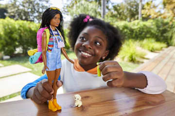 Набор игровой Barbie Бруклин Кемпинг (кукла с питомцем и аксессуарами)