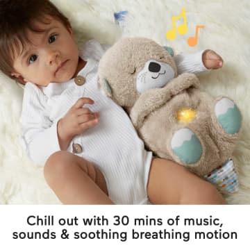 Fisher-Price Play, Soothe & Sip Set