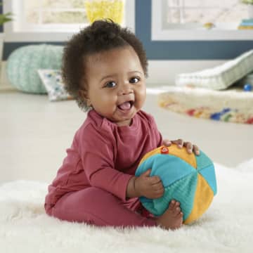 Fisher-Price Activity Monkey & Ball